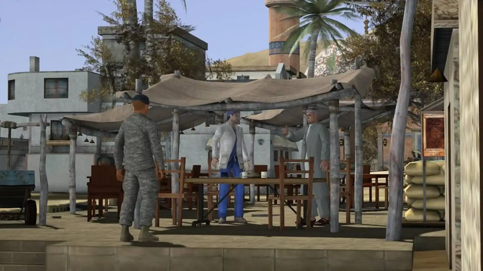 Stability and Support Operations (SASO)